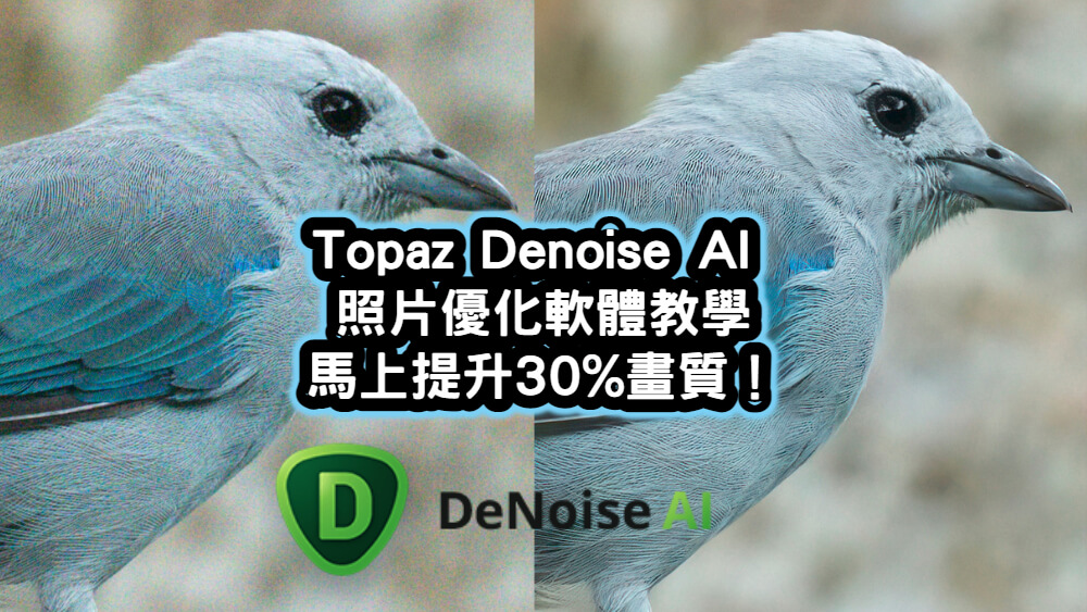 Topaz Denoise AI照片優化軟體教學