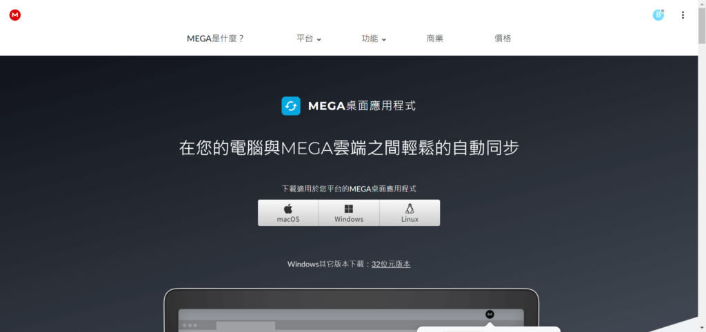 MEGA電腦下載版頁面
