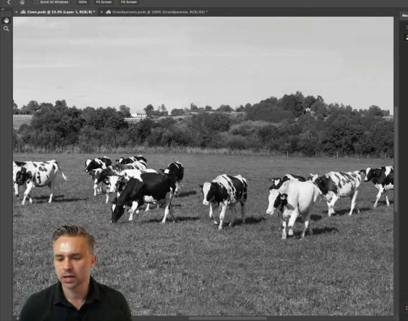 Neural Filters「彩色化」濾鏡開啟前的乳牛照片