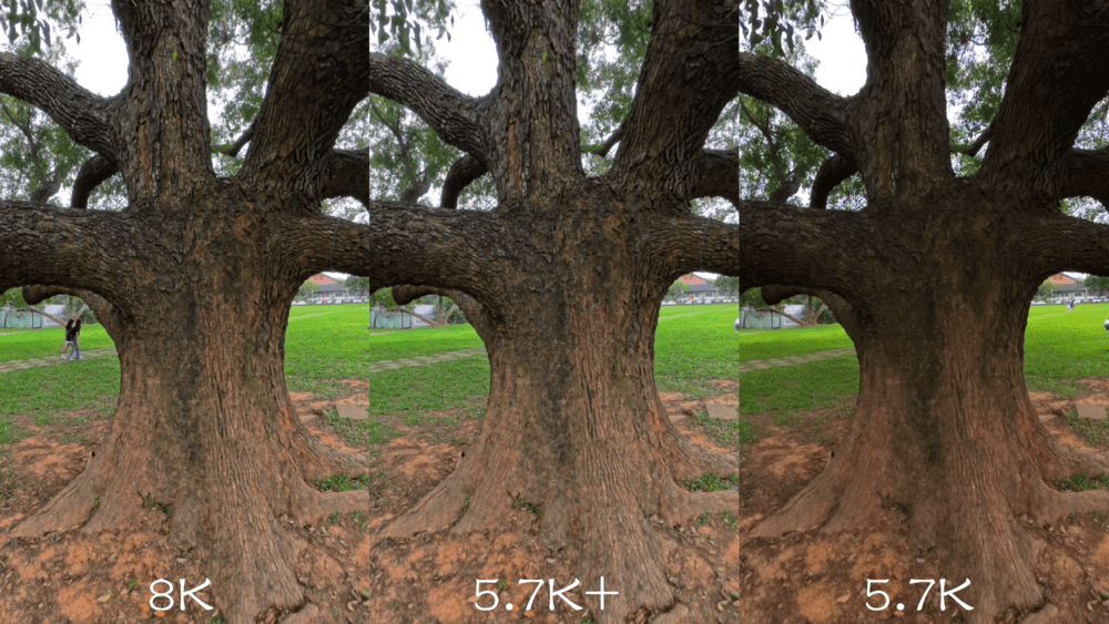將測試環境換到大樹底下陰影處，結果很明顯的8K和5.7K+的樹幹細節都遠遠比5.7K表現還要來的更好